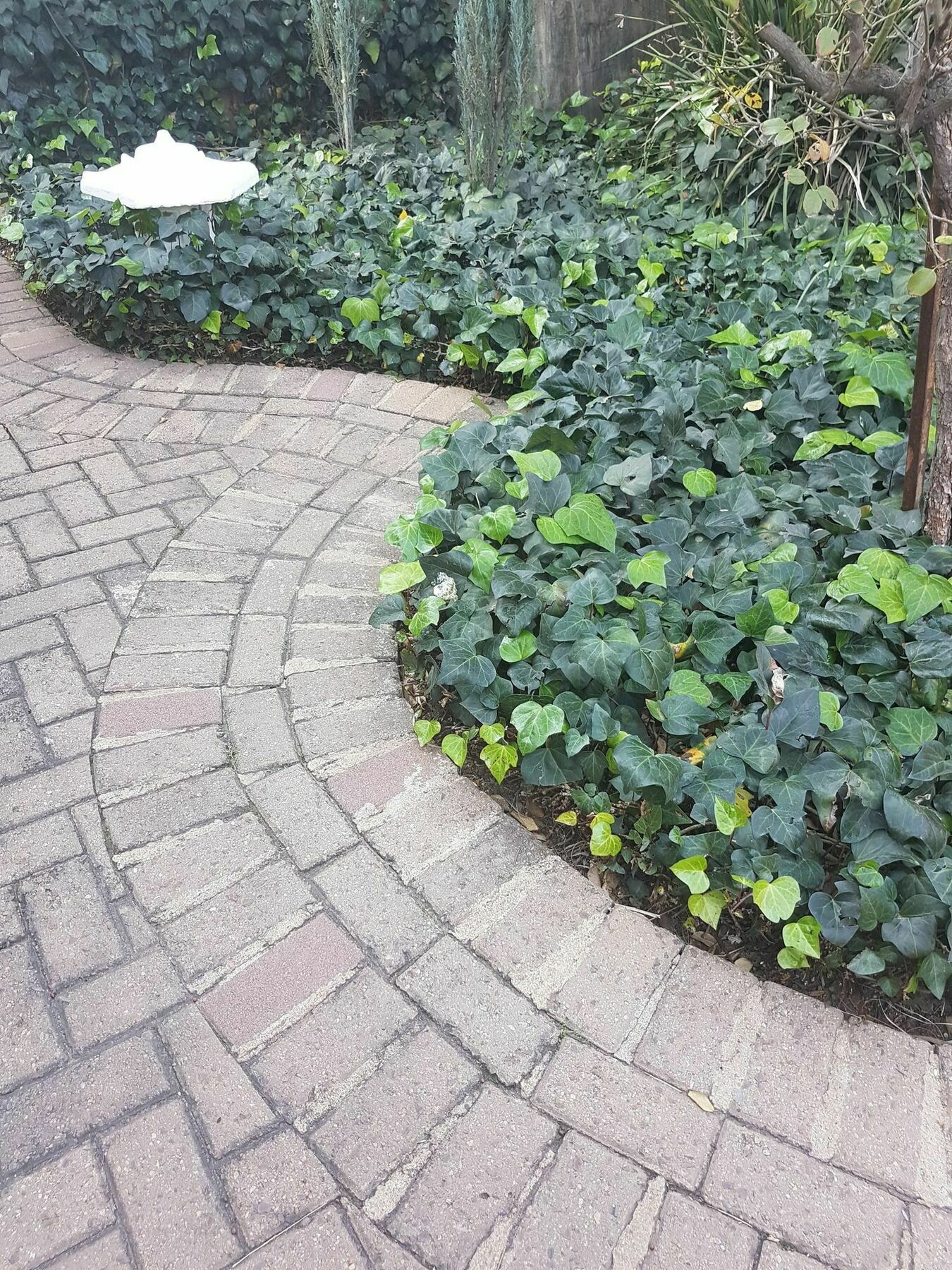 Blue Sparrow Guest House 미델뷔르흐 외부 사진